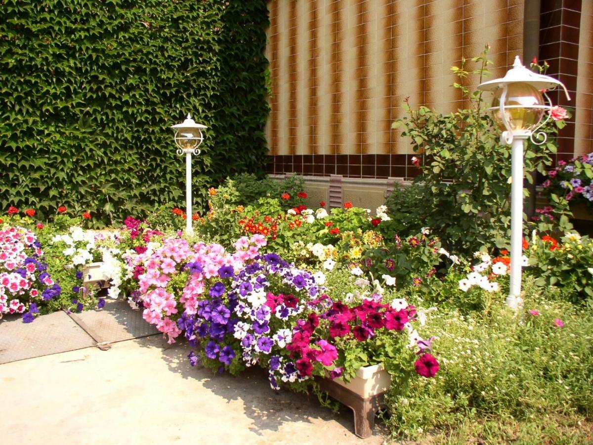 Amalia Apartman Gyula Εξωτερικό φωτογραφία