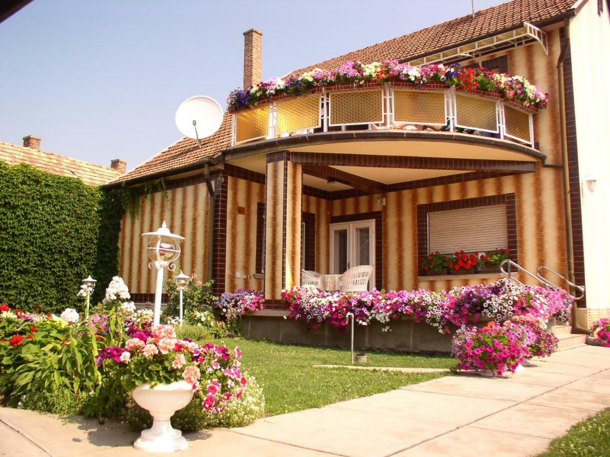 Amalia Apartman Gyula Εξωτερικό φωτογραφία