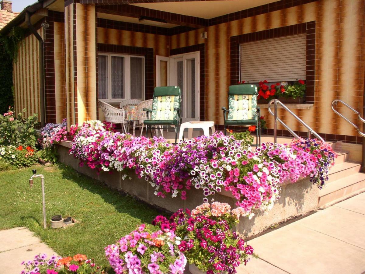 Amalia Apartman Gyula Εξωτερικό φωτογραφία