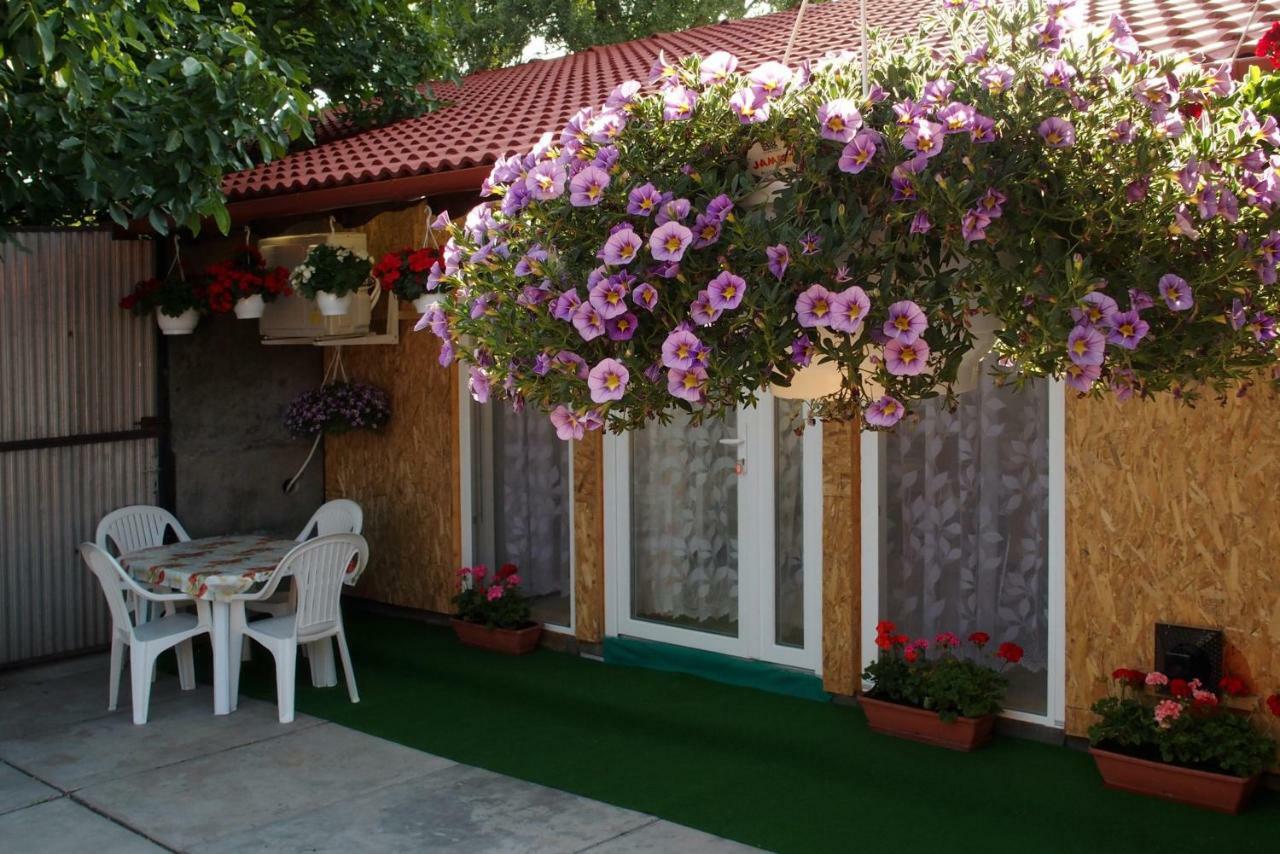 Amalia Apartman Gyula Εξωτερικό φωτογραφία